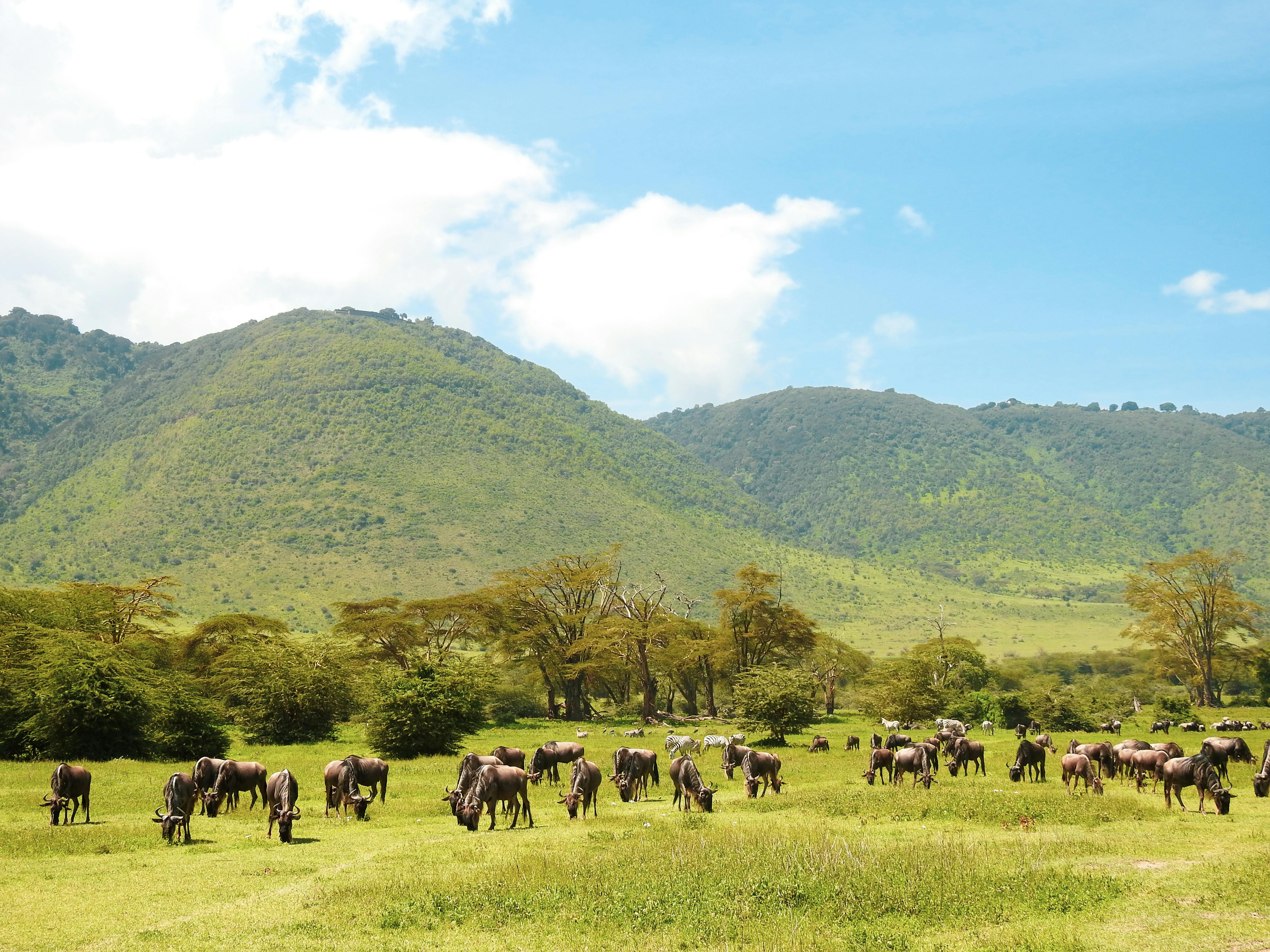 Rwanda