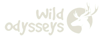 Wild Odysseys Tanzania